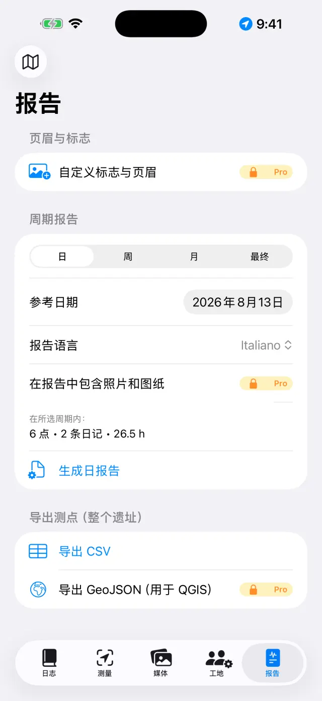 生成报告